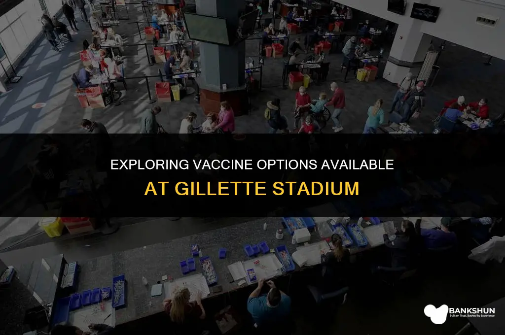 what type of vaccine at gillette stadium