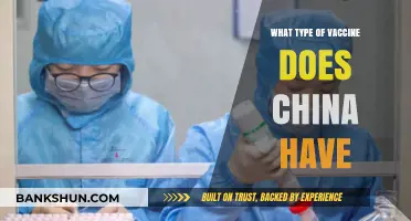 Exploring China's COVID-19 Vaccine: Types and Effectiveness