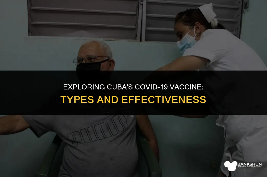 what type of vaccine does cuba have