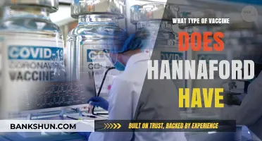 Exploring Hannaford's Vaccine Options: A Comprehensive Guide