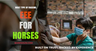 Protecting Equine Health: The Essential Guide to EEE Vaccines for Horses