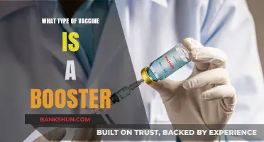 Understanding Booster Shots: A Guide to Vaccine Types and Their Role