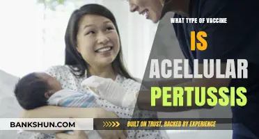 Understanding Acellular Pertussis Vaccines: A Comprehensive Guide