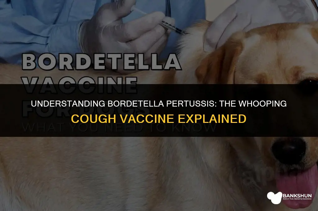 what type of vaccine is bordetella pertussis