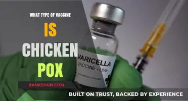 Understanding Chickenpox Vaccines: Types and Effectiveness