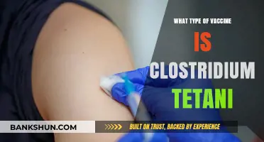 Understanding Clostridium Tetani: The Vaccine You Need to Know About