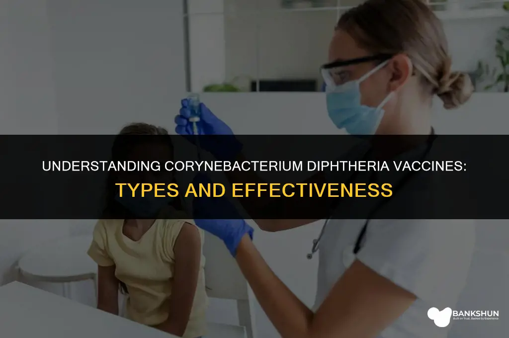what type of vaccine is corynebbacterium diphtheria