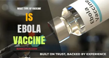Understanding Ebola Vaccines: Types and Effectiveness Explained