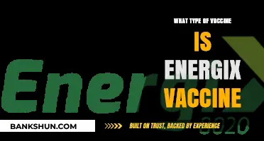 Exploring the Energix Vaccine: A Comprehensive Guide to Its Type and Benefits