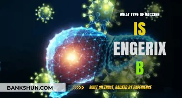 Understanding Engerix-B: The Hepatitis B Vaccine Explained