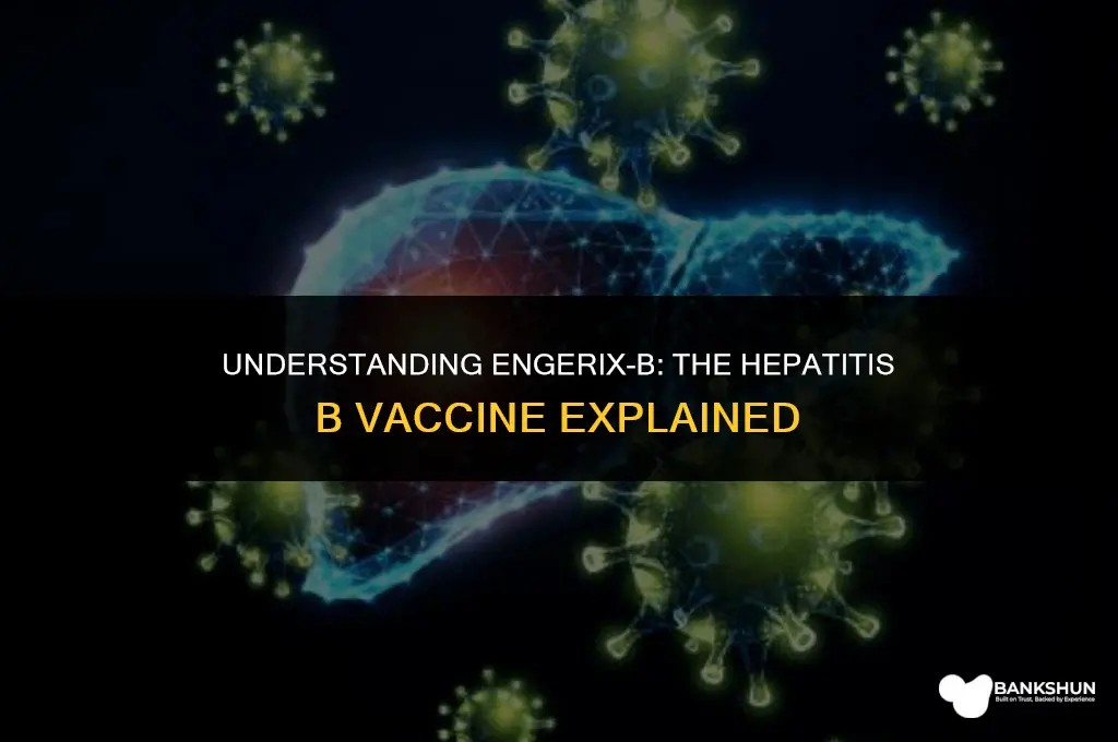 what type of vaccine is engerix b