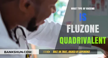 Understanding Fluzone Quadrivalent: Your Guide to This Seasonal Flu Vaccine