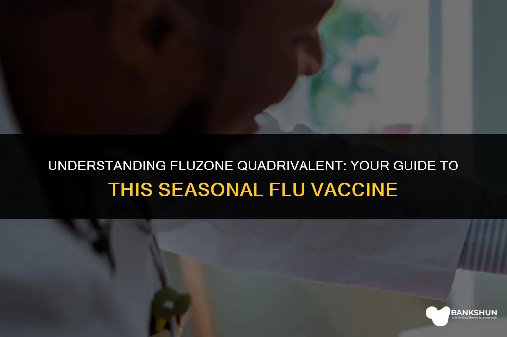 what type of vaccine is fluzone quadrivalent