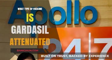 Understanding Gardasil: The Facts About This Attenuated Vaccine