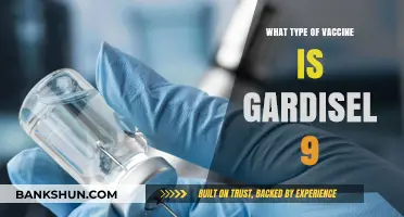 Understanding Gardasil 9: The HPV Vaccine for Comprehensive Protection