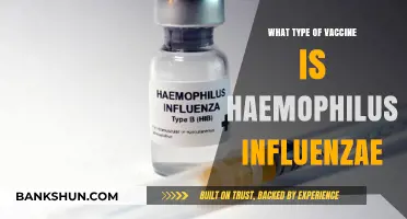 Understanding Haemophilus Influenzae Vaccines: Types and Benefits