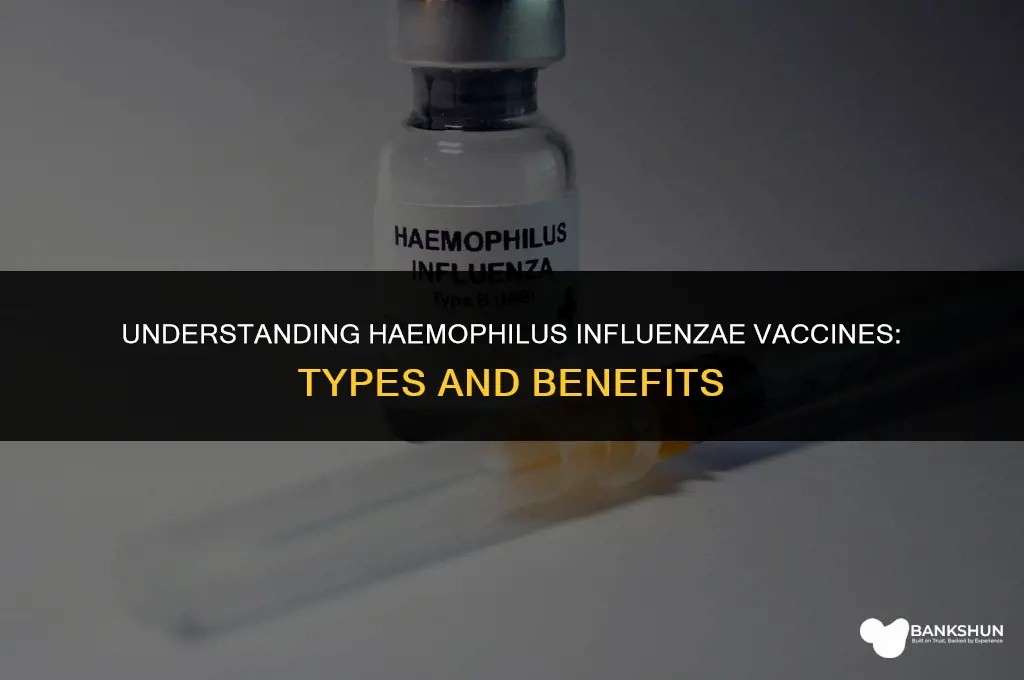 what type of vaccine is haemophilus influenzae