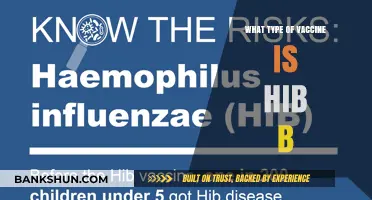 Understanding the Hib B Vaccine: Types and Benefits