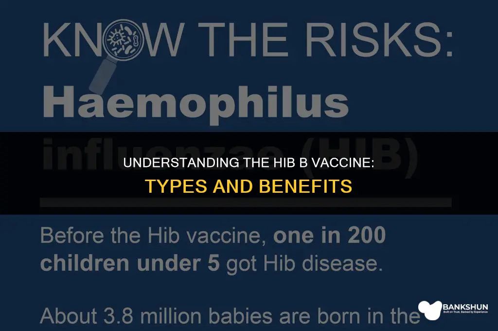 what type of vaccine is hib b
