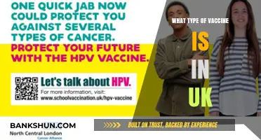Exploring the Types of Vaccines Available in the UK