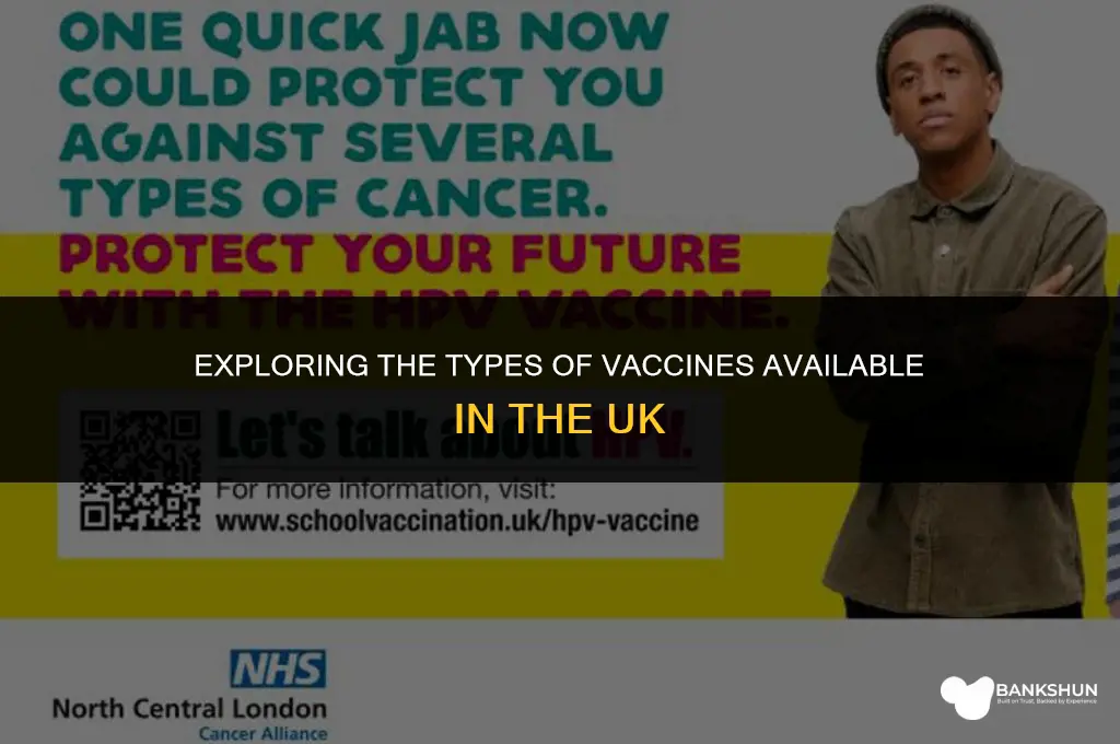what type of vaccine is in uk