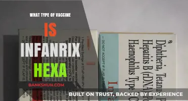 Understanding Infanrix Hexa: A Comprehensive Guide to This Essential Vaccine