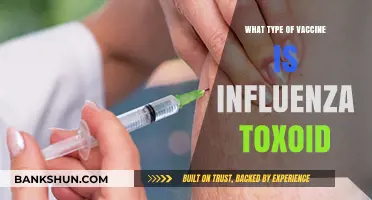 Understanding Influenza Toxoid Vaccines: A Comprehensive Guide