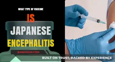 Understanding Japanese Encephalitis Vaccines: Types and Protection