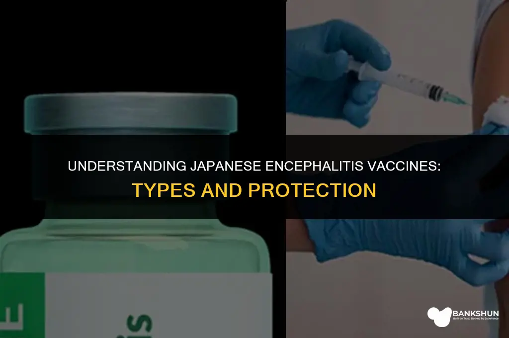what type of vaccine is japanese encephalitis