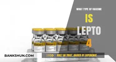 Understanding Lepto 4: The Essential Guide to This Vital Vaccine