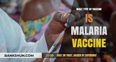 Decoding Malaria Vaccines: Types and Effectiveness Explained