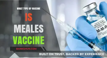 Understanding Measles Vaccine: Types and Importance