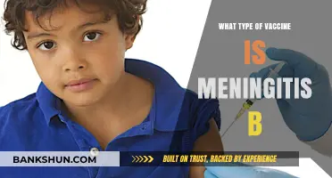 Understanding Meningitis B: The Facts About This Crucial Vaccine