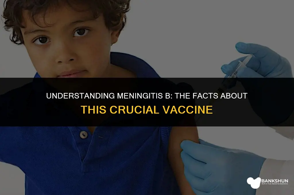 what type of vaccine is meningitis b