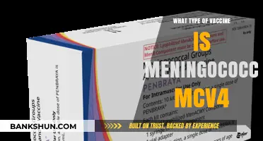 Understanding Meningococcal MCV4: The Essential Vaccine Guide