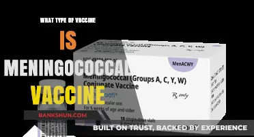 Understanding Meningococcal Vaccine: Types and Protection