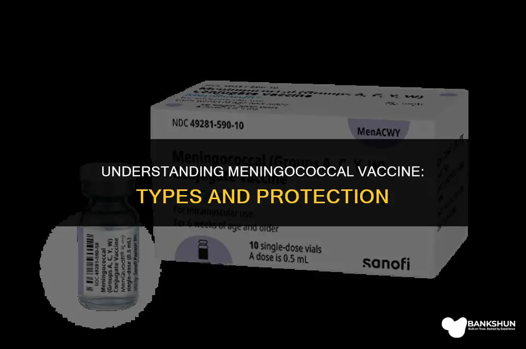 what type of vaccine is meningococcal vaccine