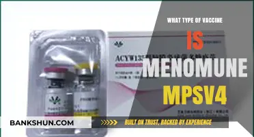 Understanding Menomune MPSV4: The Quadrivalent Meningococcal Vaccine