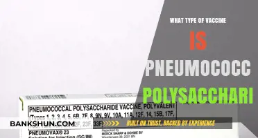 Understanding Pneumococcal Polysaccharide Vaccines: A Comprehensive Guide