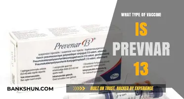 Understanding Pneumococcal Vaccines: What is Prevnar 13?