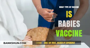 Understanding Rabies Vaccines: Types and Effectiveness