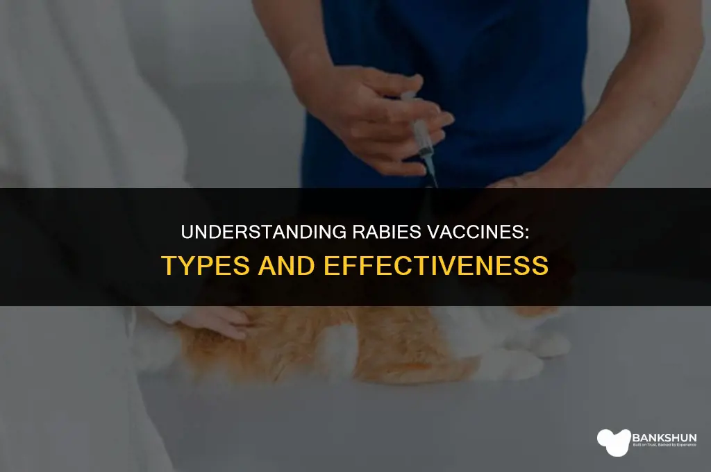 what type of vaccine is rabies vaccine