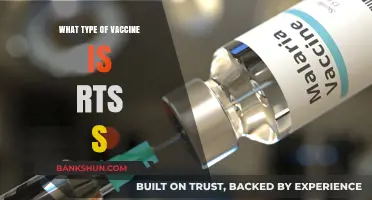 Decoding RTS,S: The Malaria Vaccine Breakthrough Explained