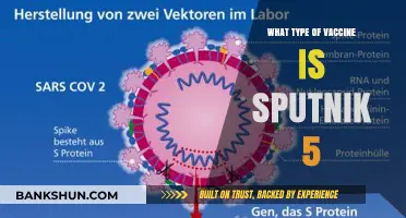 Unveiling Sputnik 5: A Comprehensive Guide to the Russian COVID-19 Vaccine
