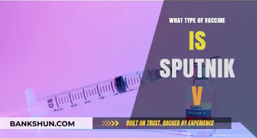 Decoding Sputnik V: A Comprehensive Guide to the Russian COVID-19 Vaccine