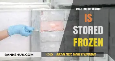 Frozen Guardians: Understanding the Storage of Life-Saving Vaccines
