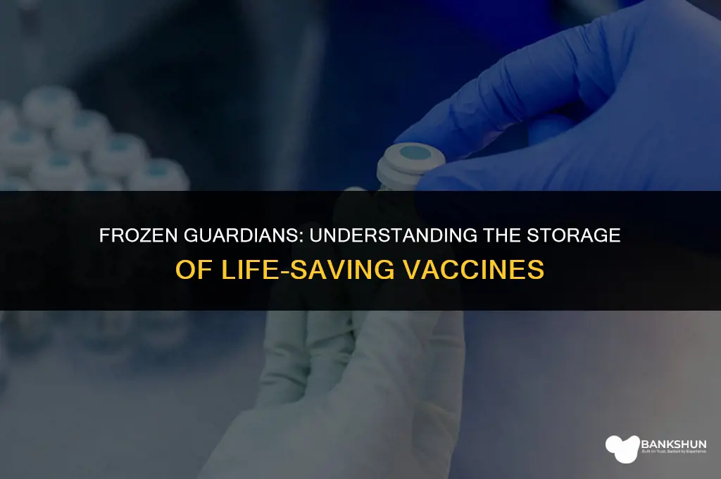 what type of vaccine is stored frozen