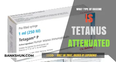 Understanding Tetanus Vaccines: The Power of Attenuation