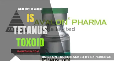 Understanding Tetanus Toxoid: The Essential Vaccine for Protection