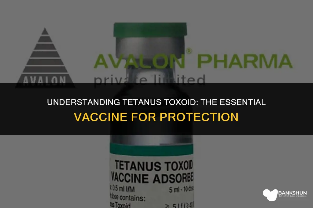 what type of vaccine is tetanus toxoid
